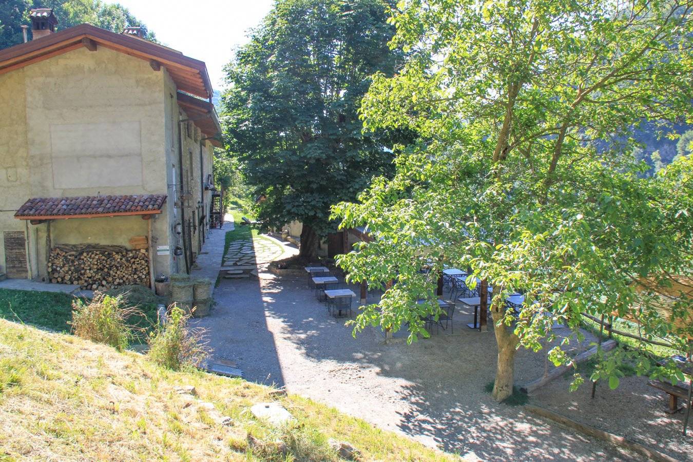Giardino