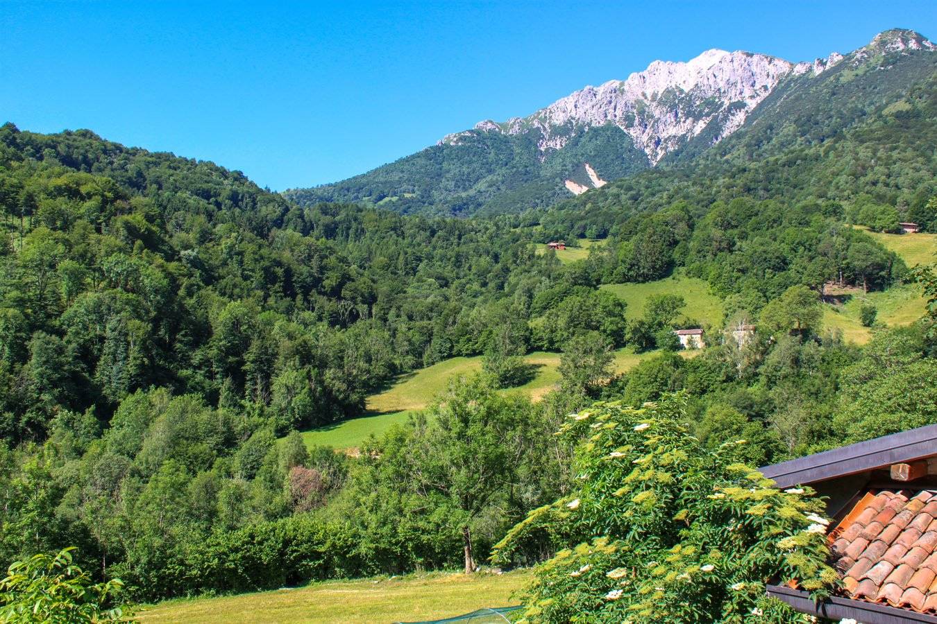 Vista