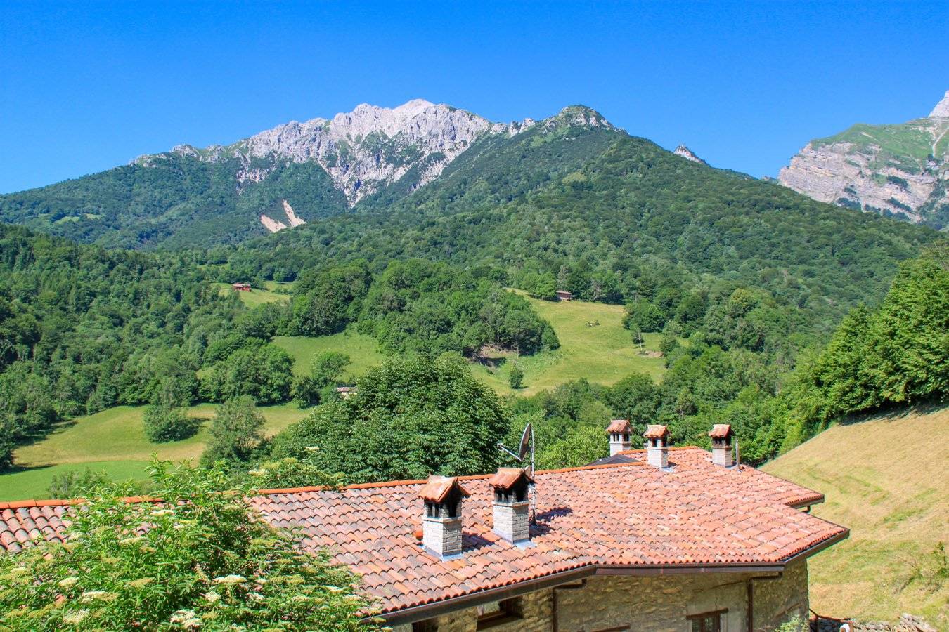 Vista