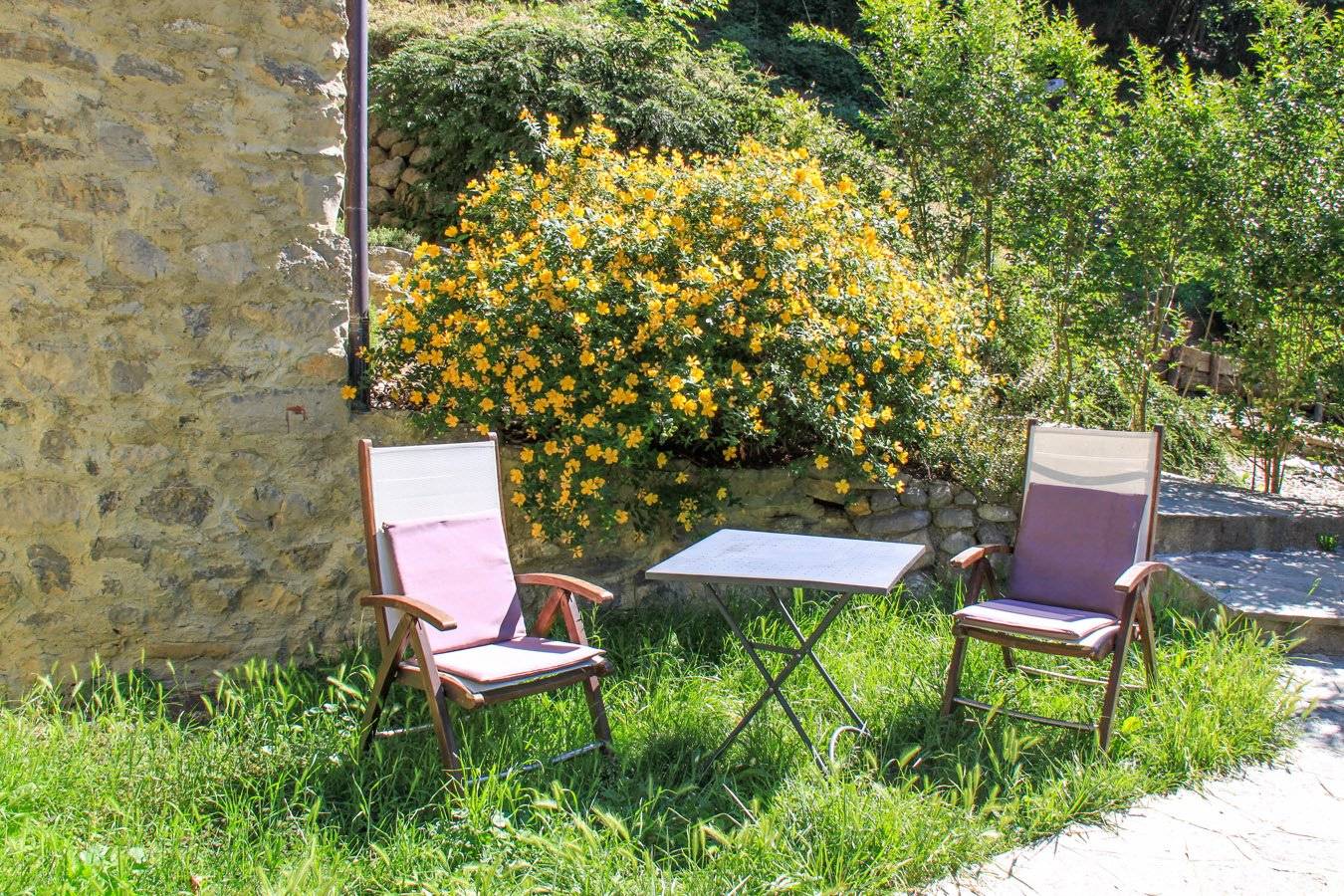 Giardino