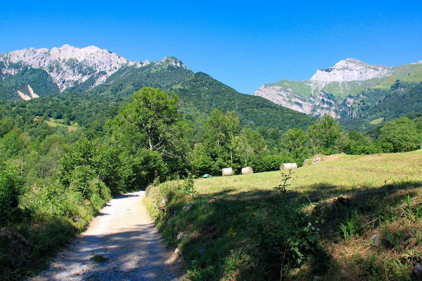 Vista