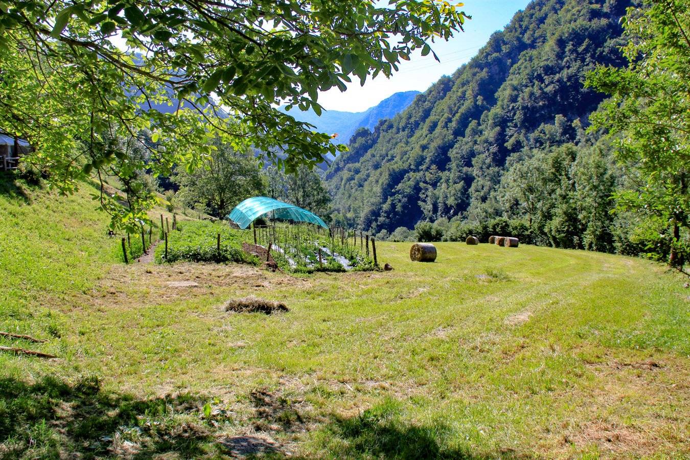Terreno