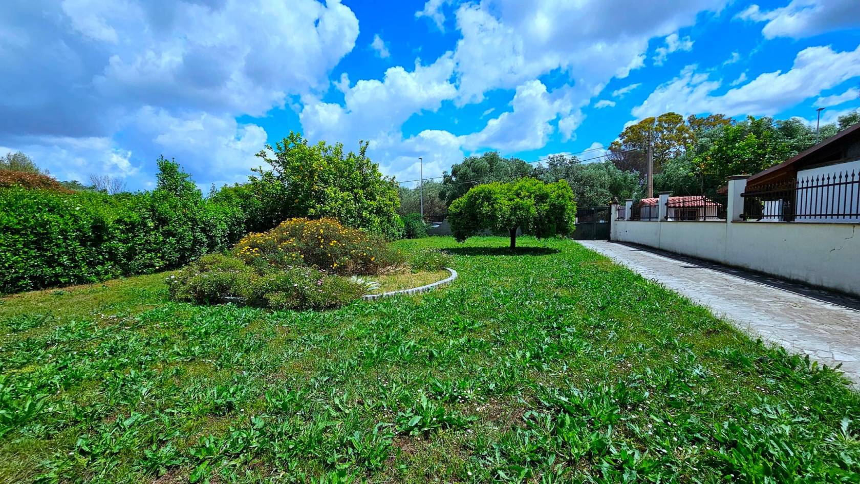 Giardino