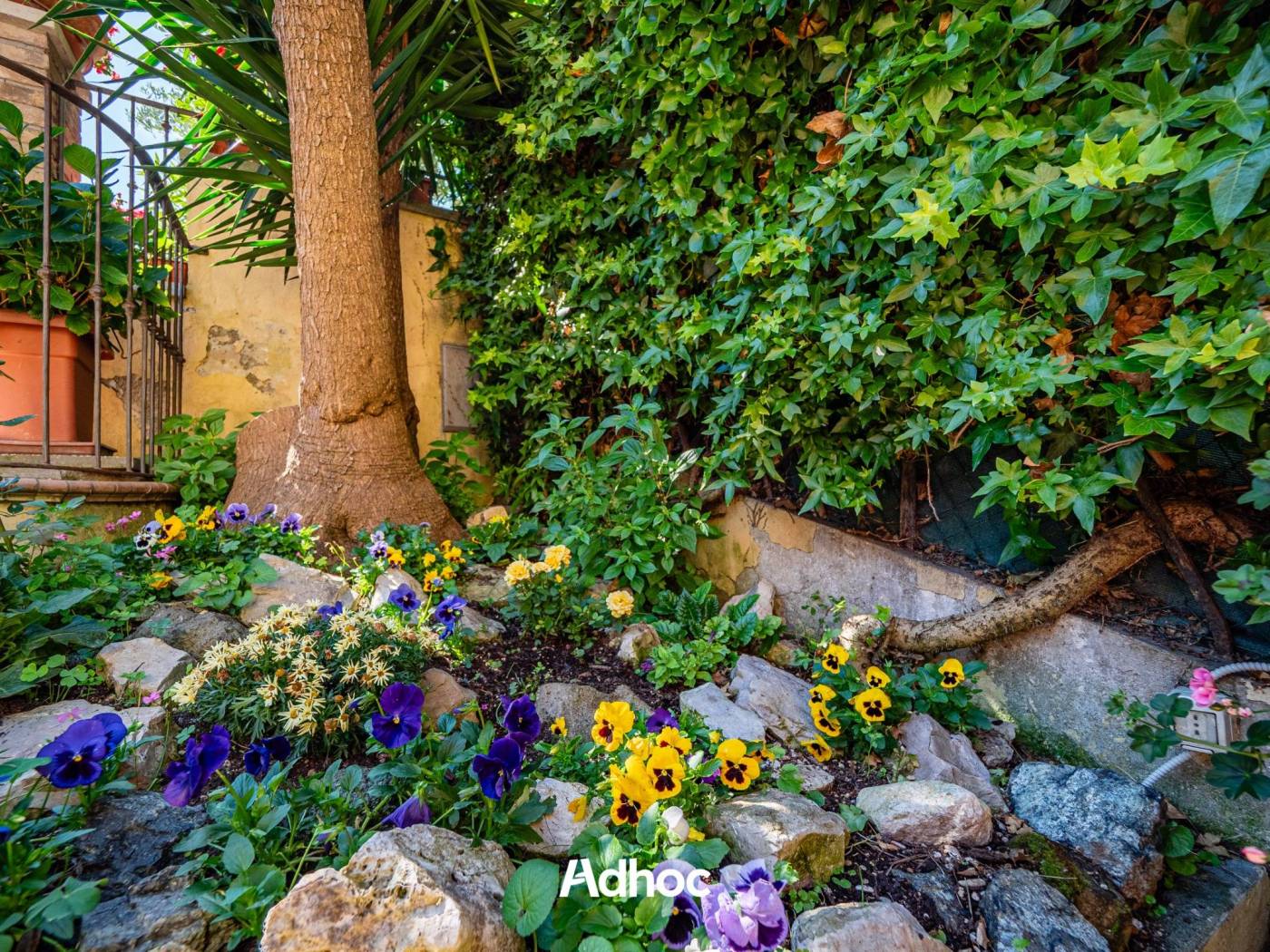 Giardino