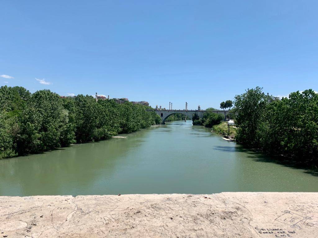 Vista