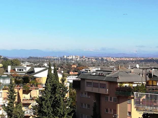 Zona