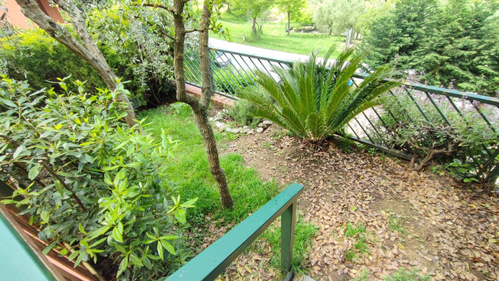 Giardino