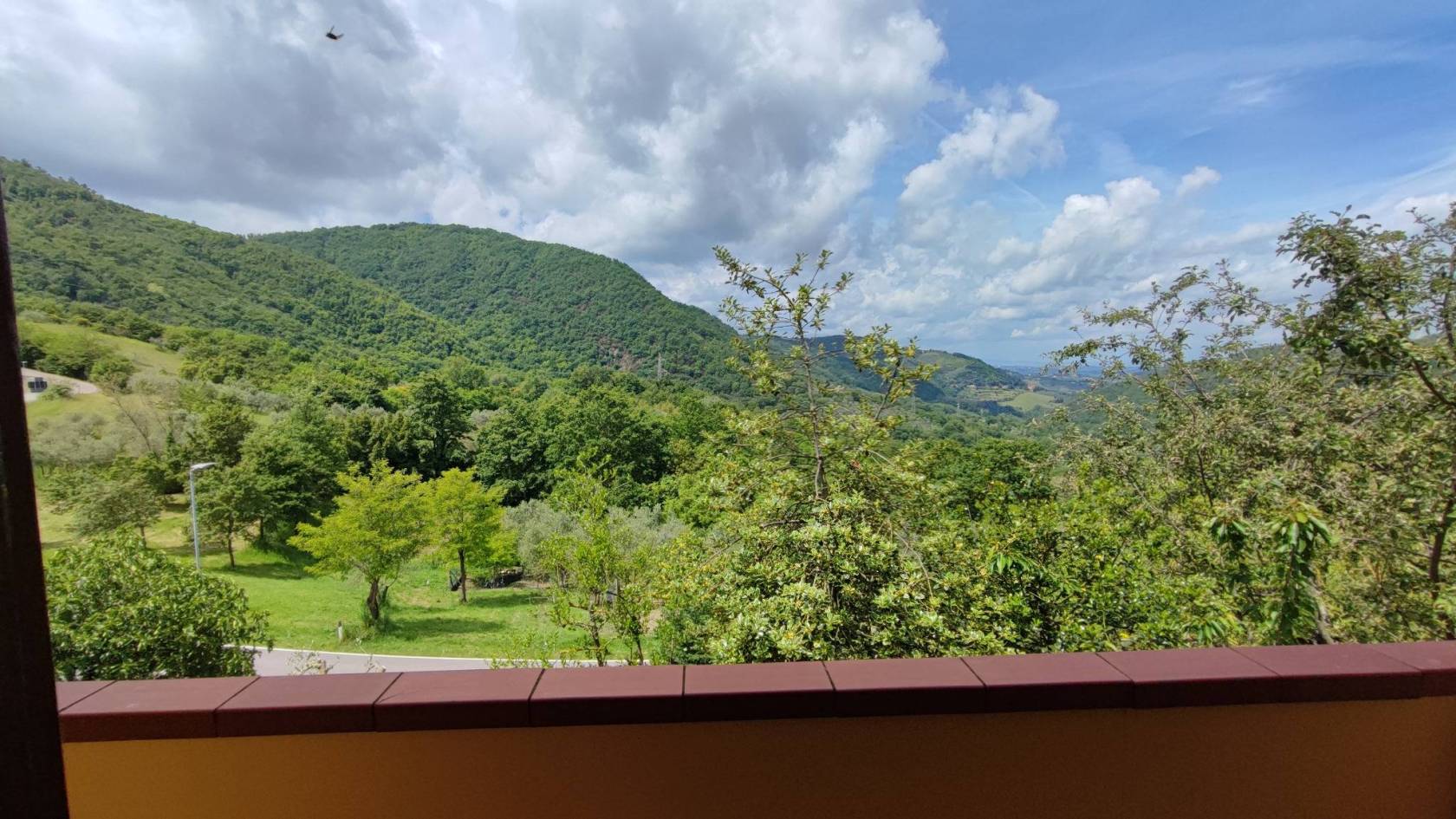 Vista