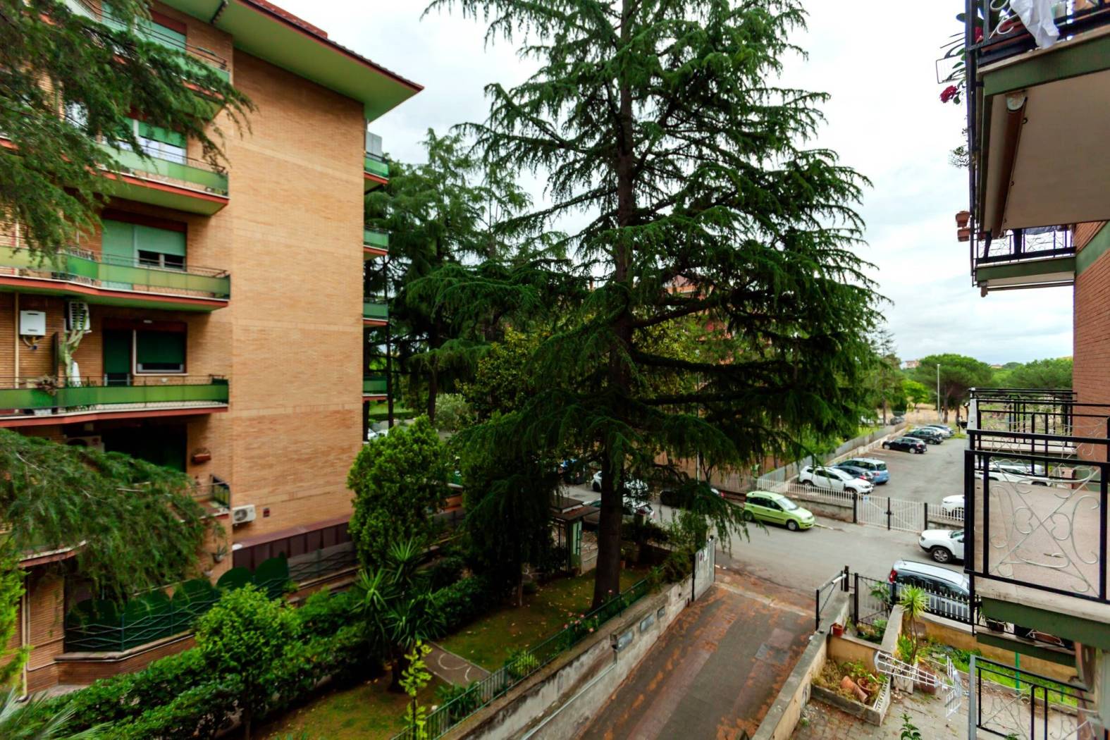 Vista