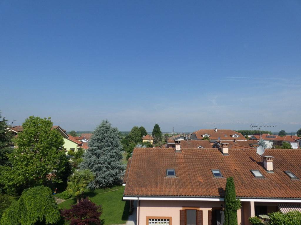 Vista