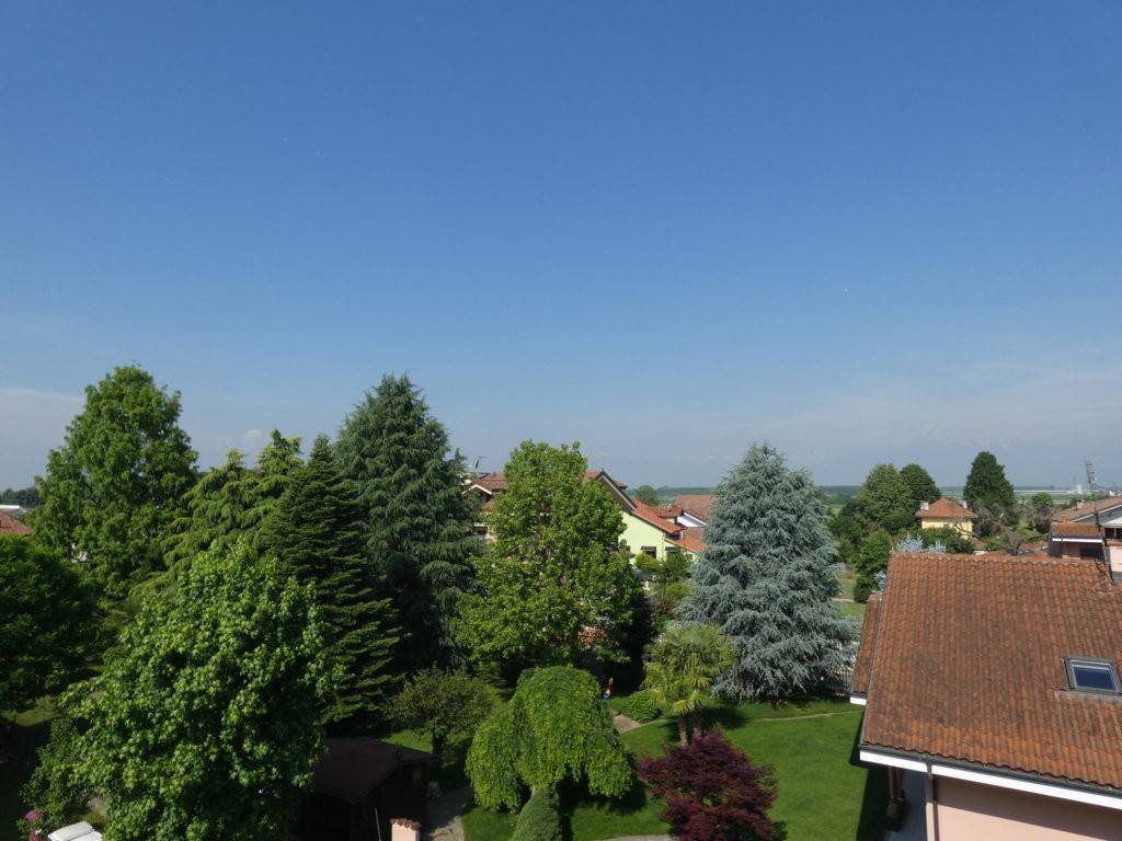 Vista