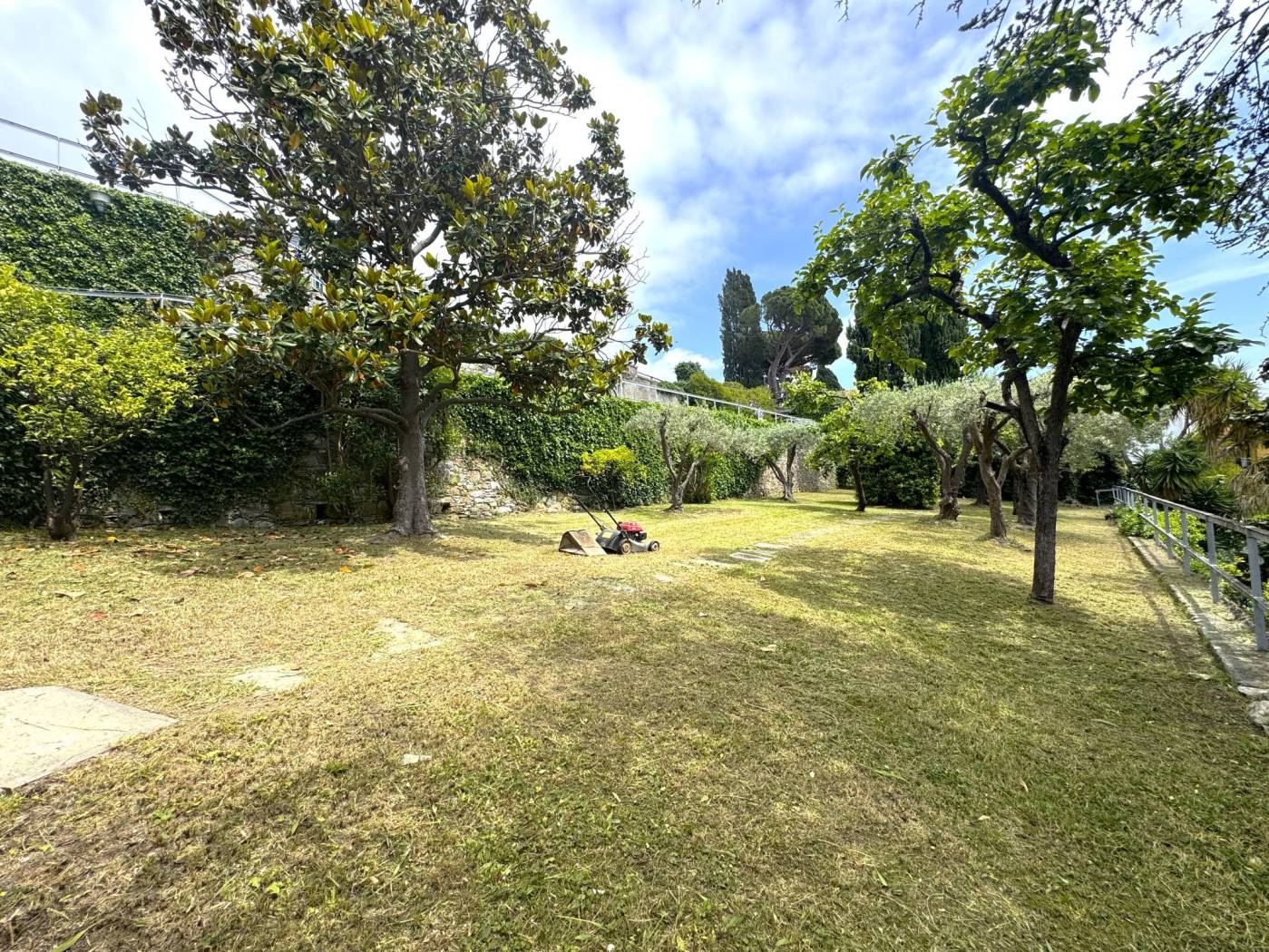 Giardino