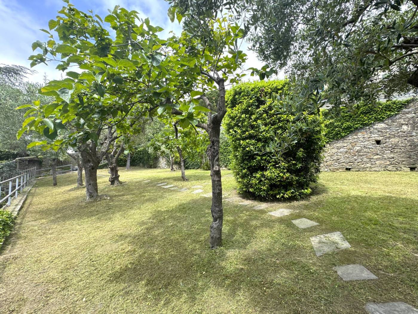 Giardino
