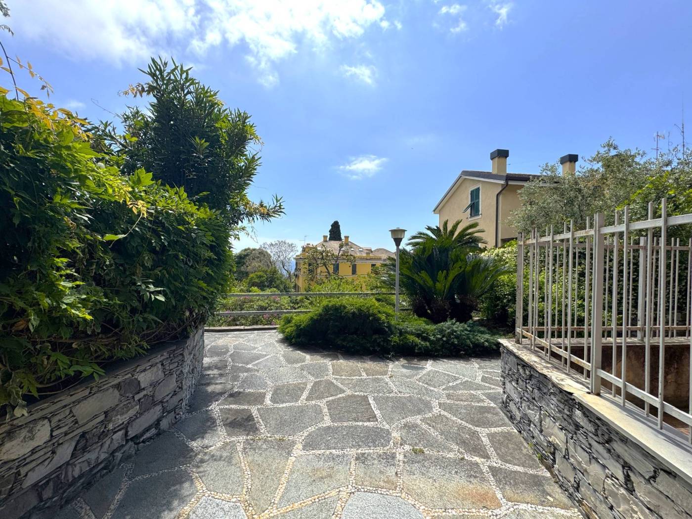 Vista