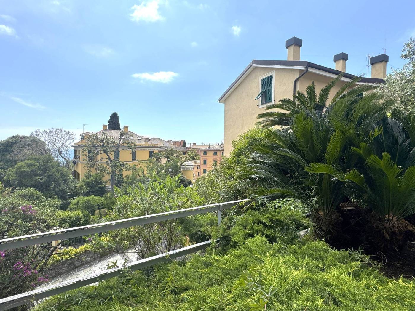 Vista