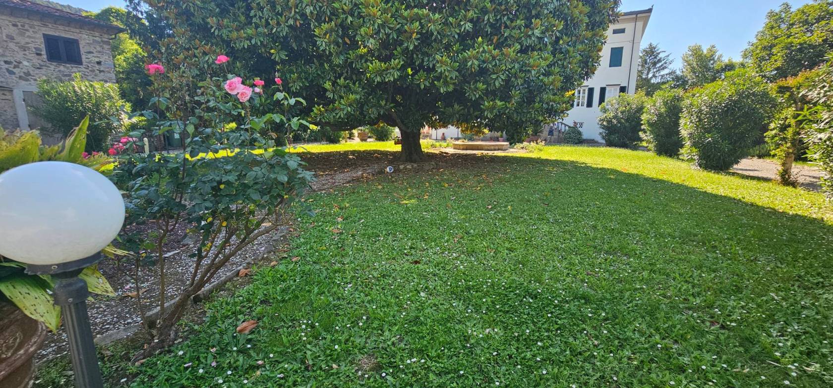 Giardino