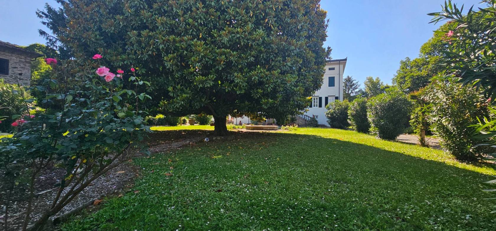 Giardino