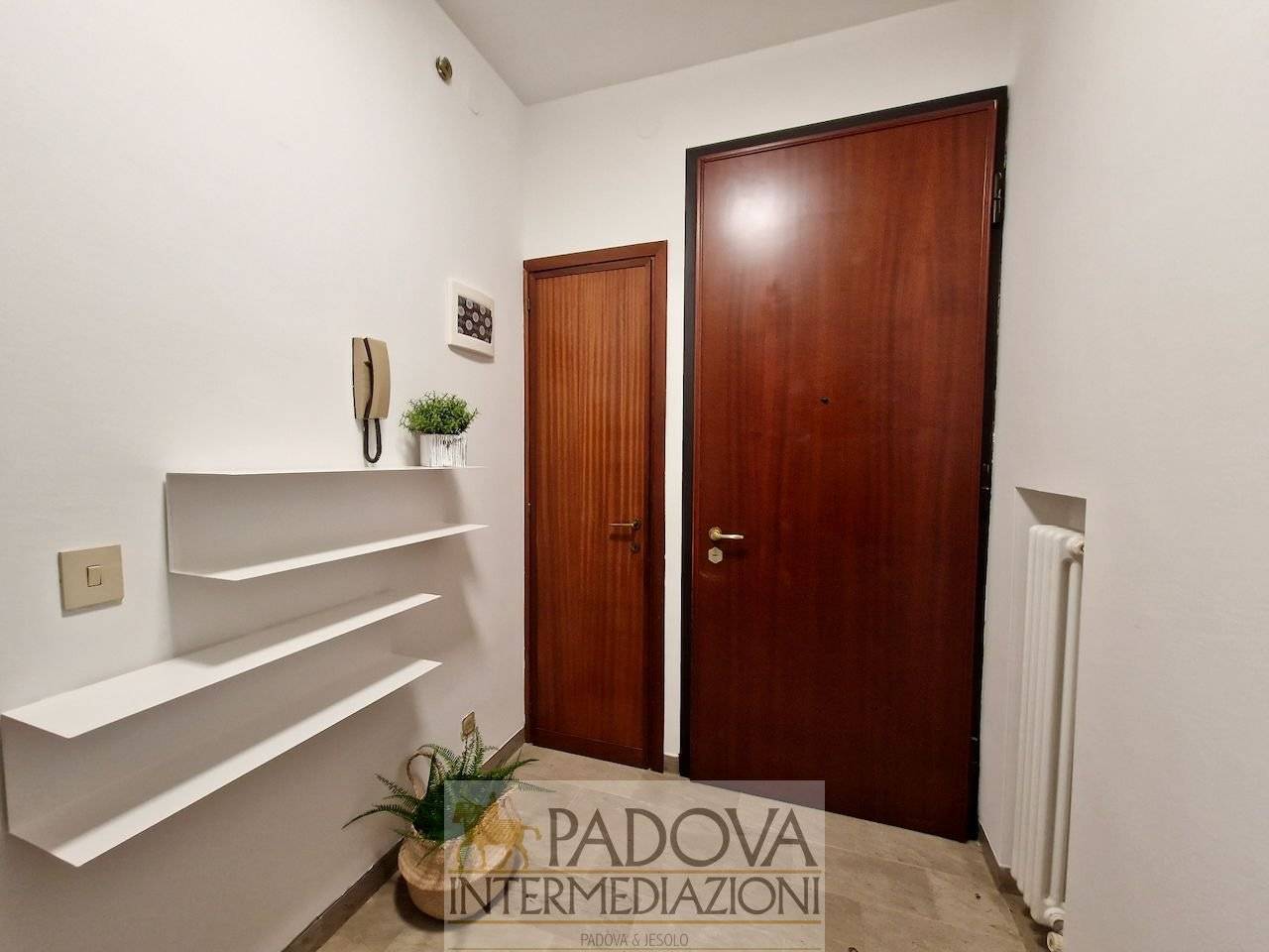 Ingresso