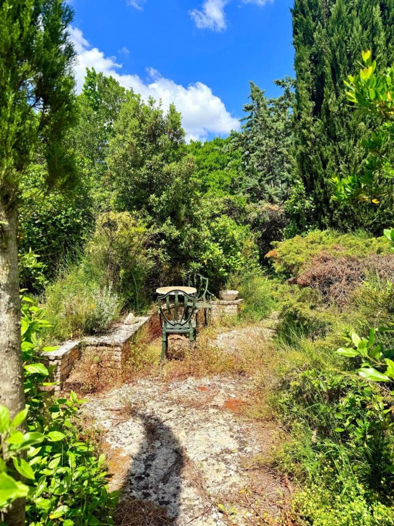Terreno