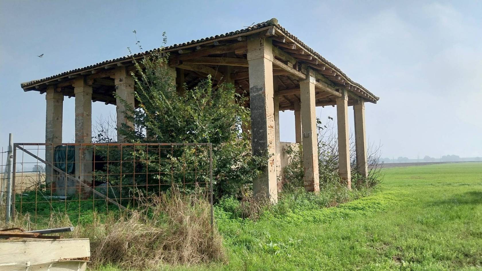 Terreno