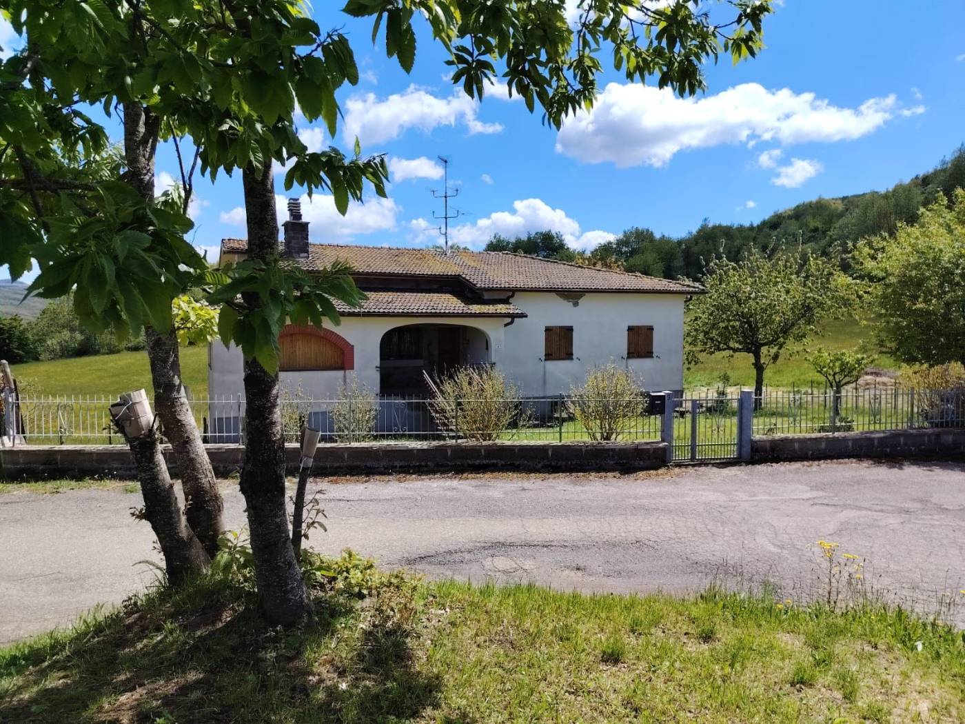 Giardino