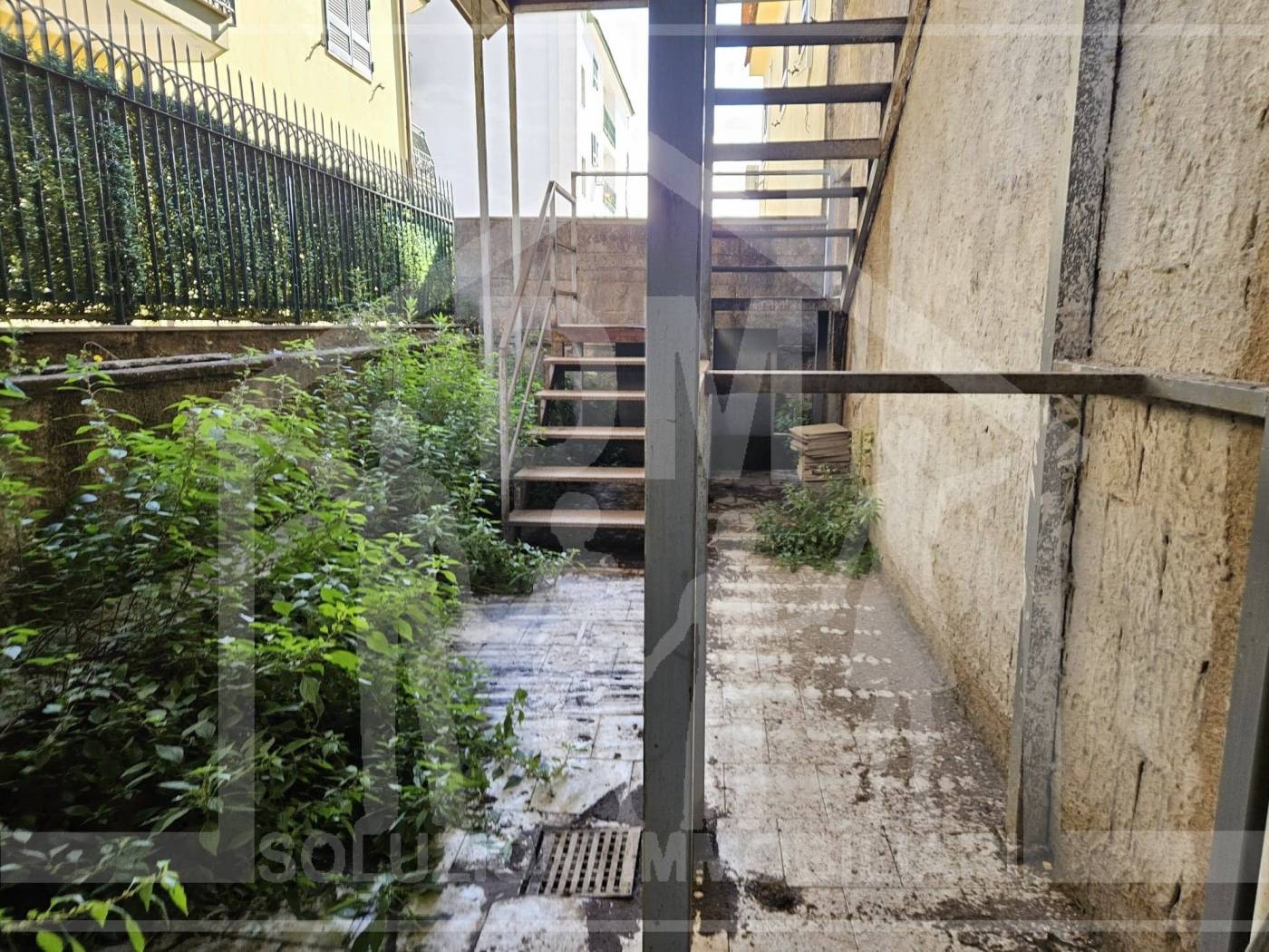 Giardino