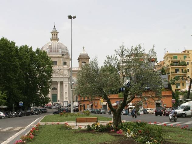 Zona