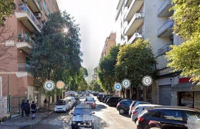 Zona