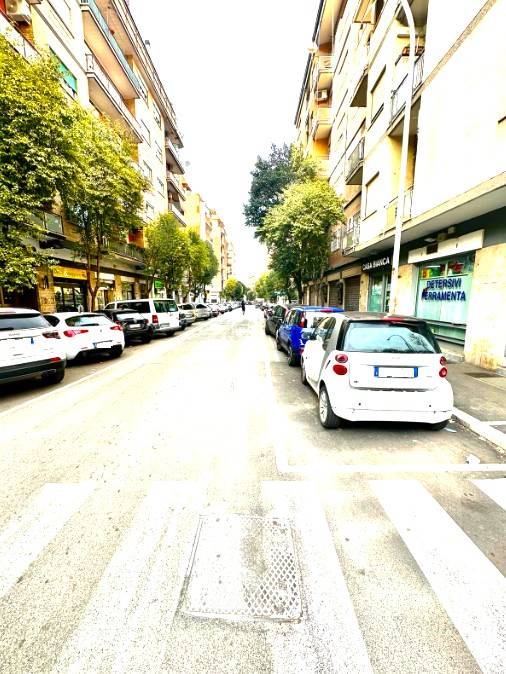 Zona