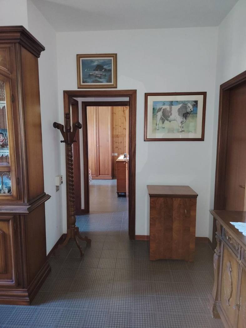 Ingresso