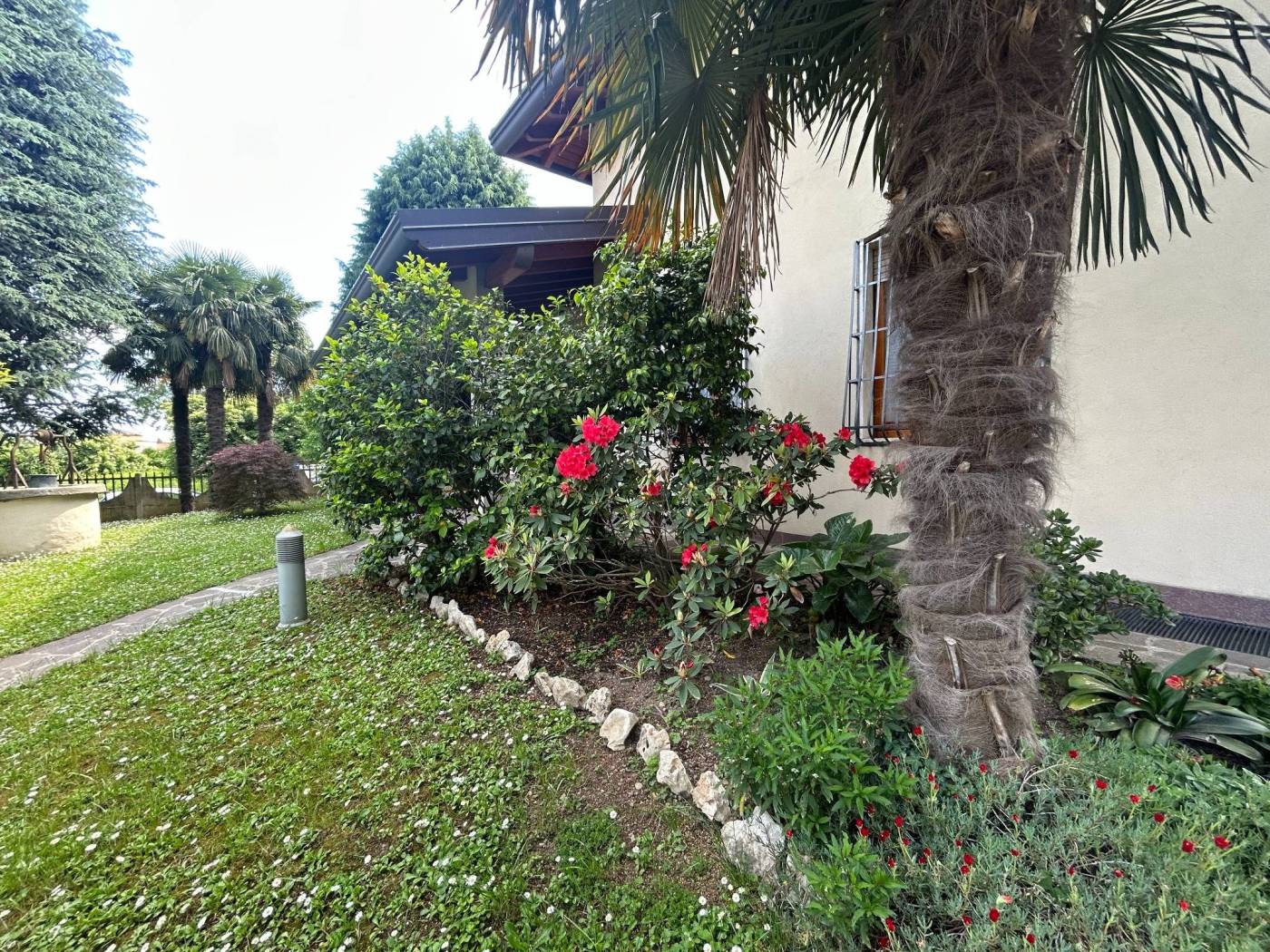 Giardino