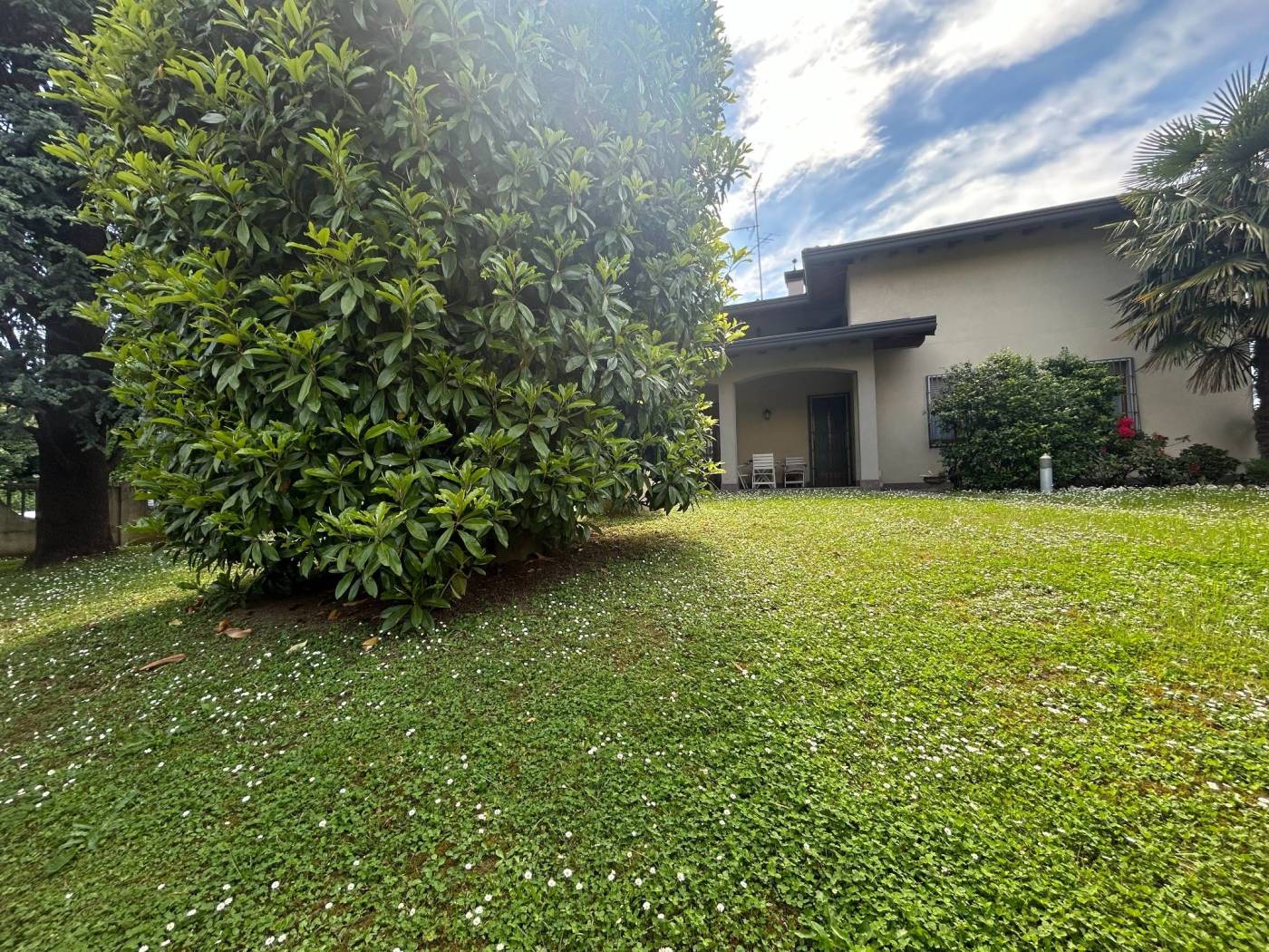 Giardino