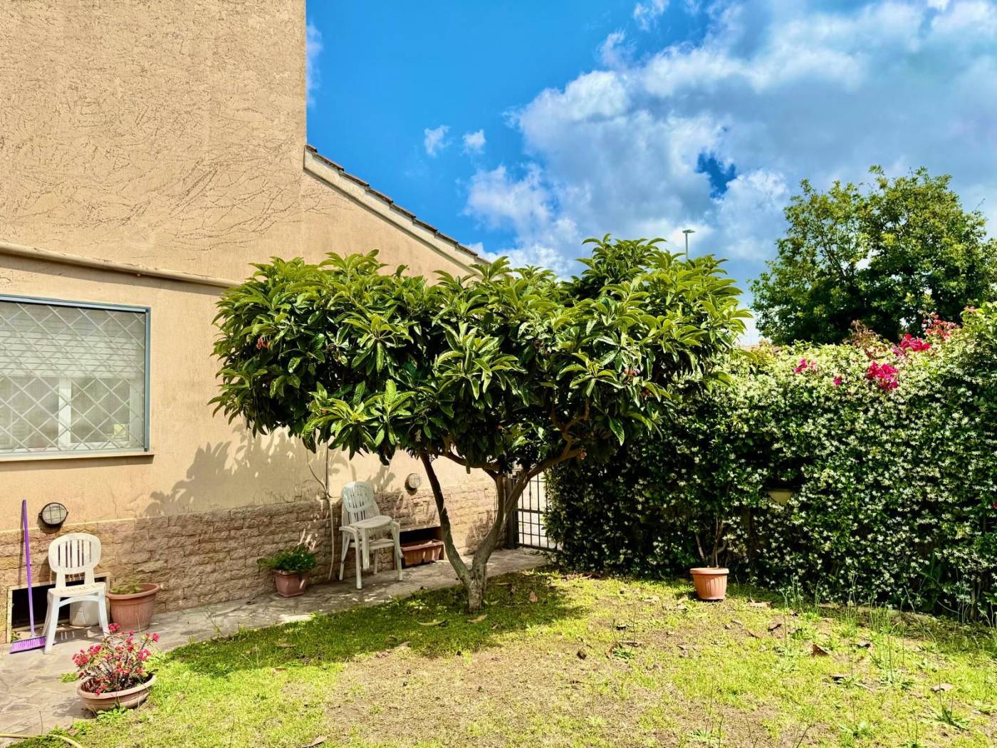 Giardino