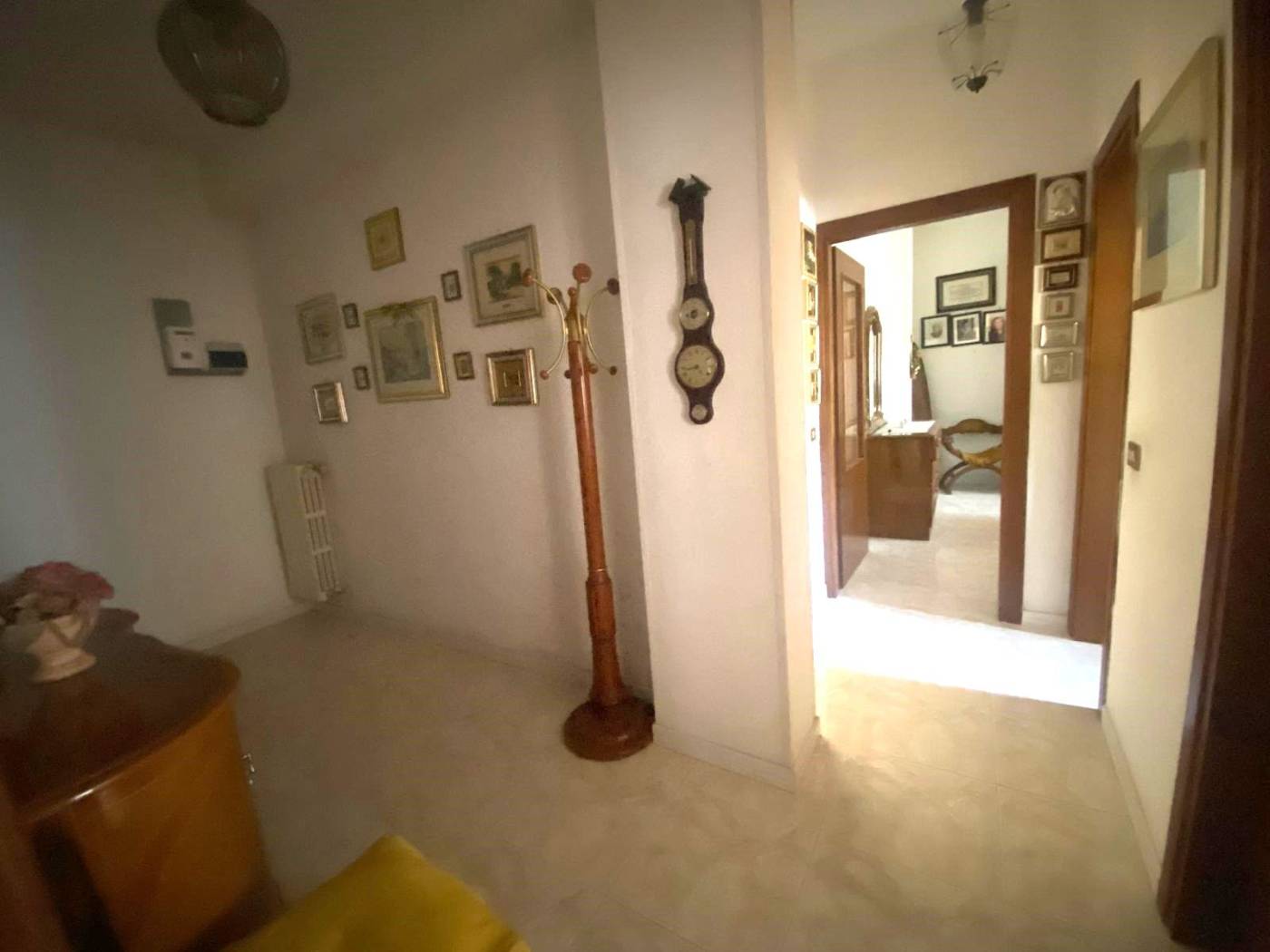 Ingresso