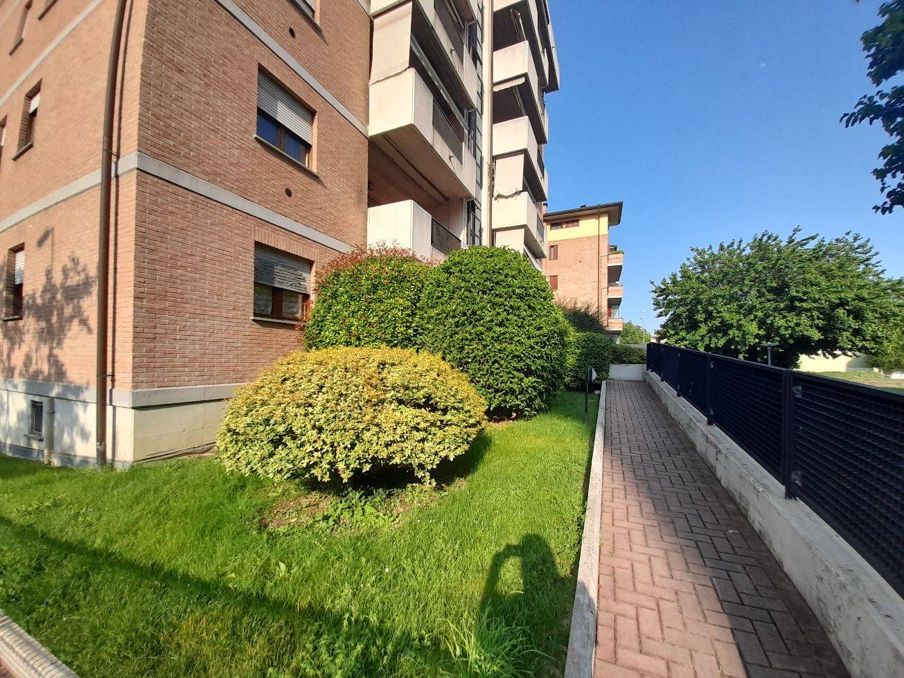 Giardino