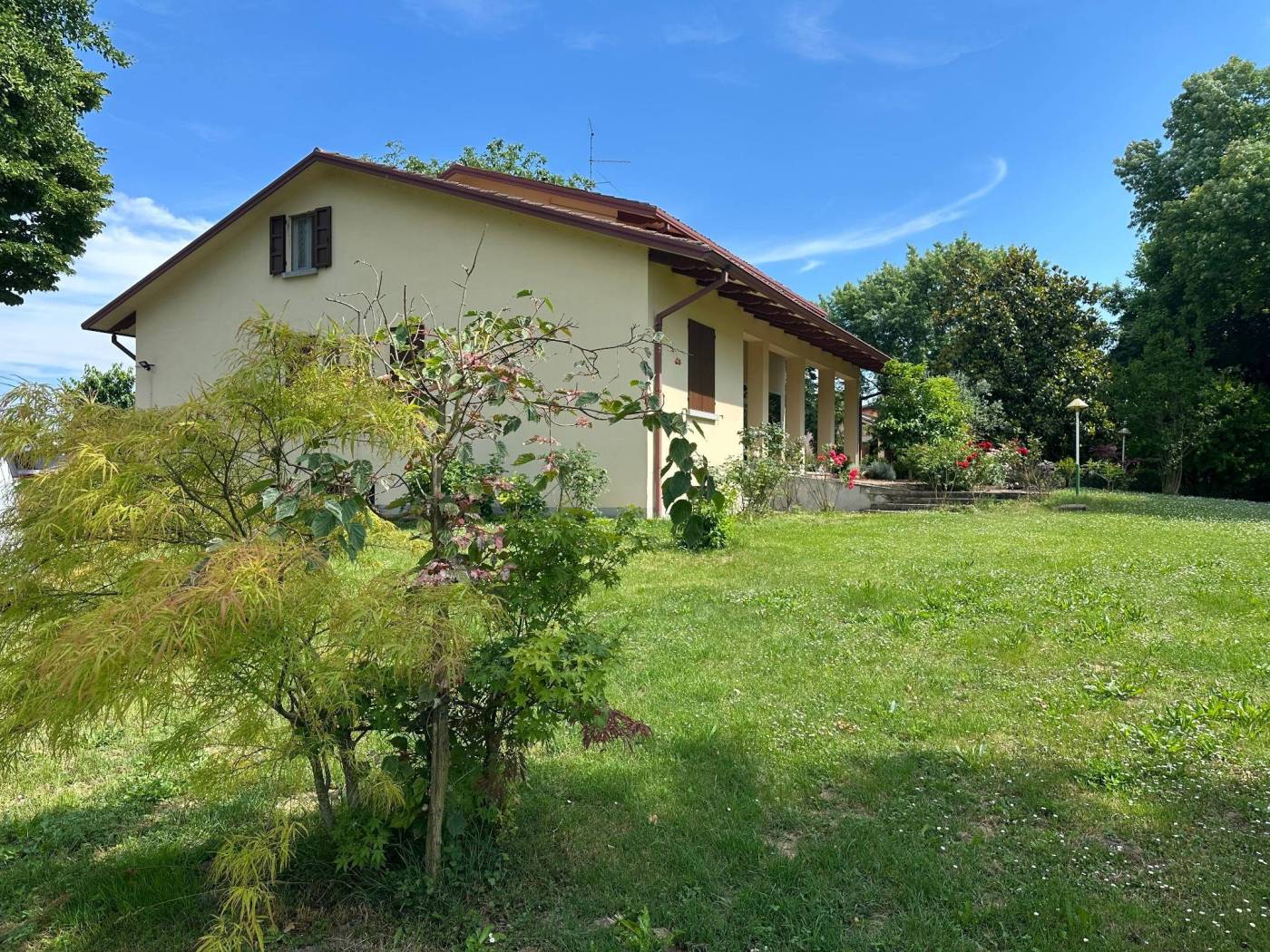 Giardino