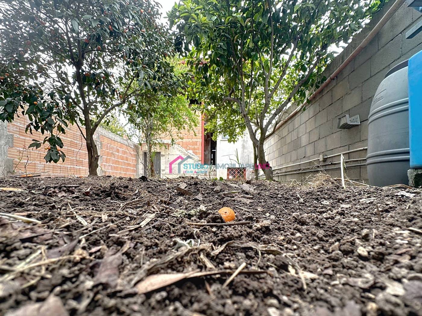 Giardino