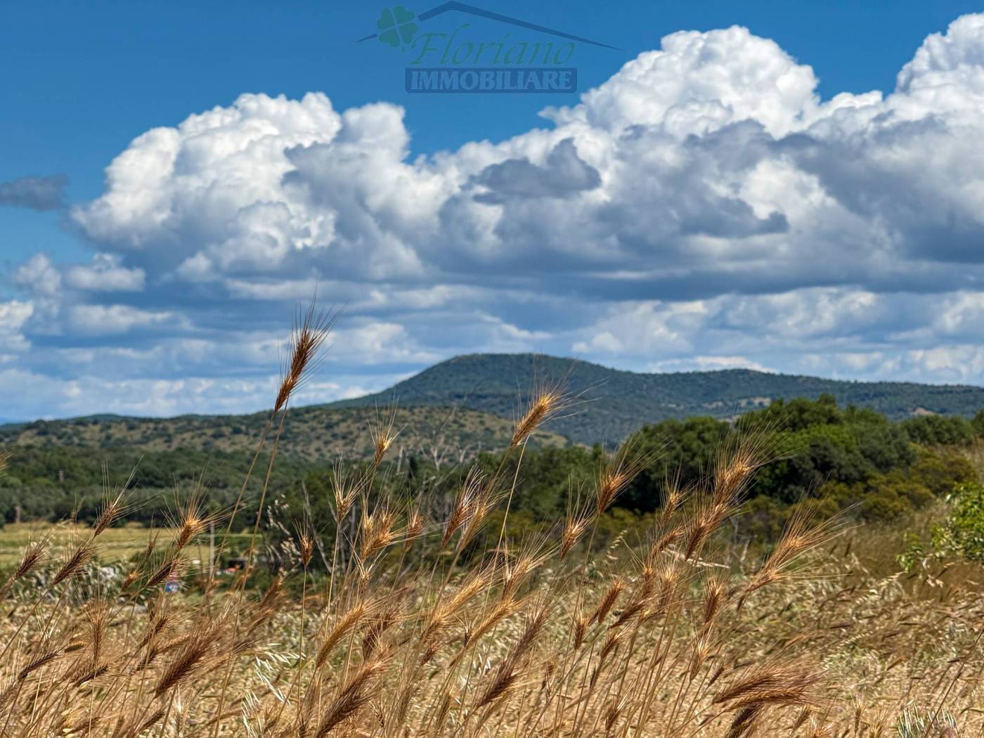 Terreno