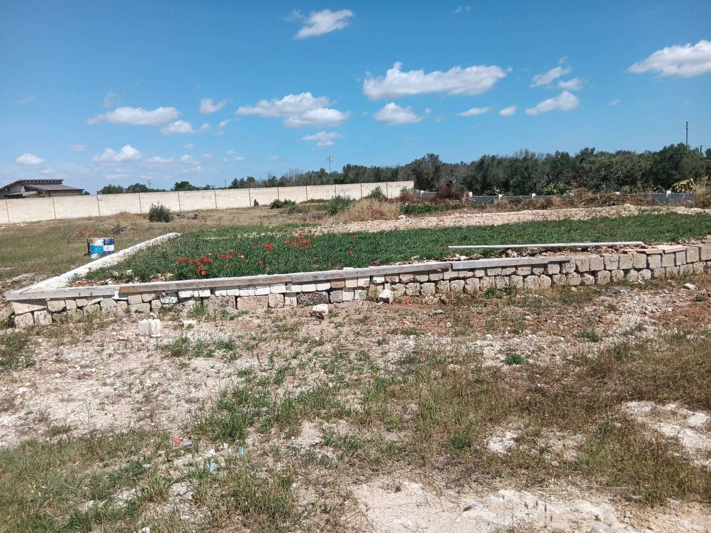 Terreno