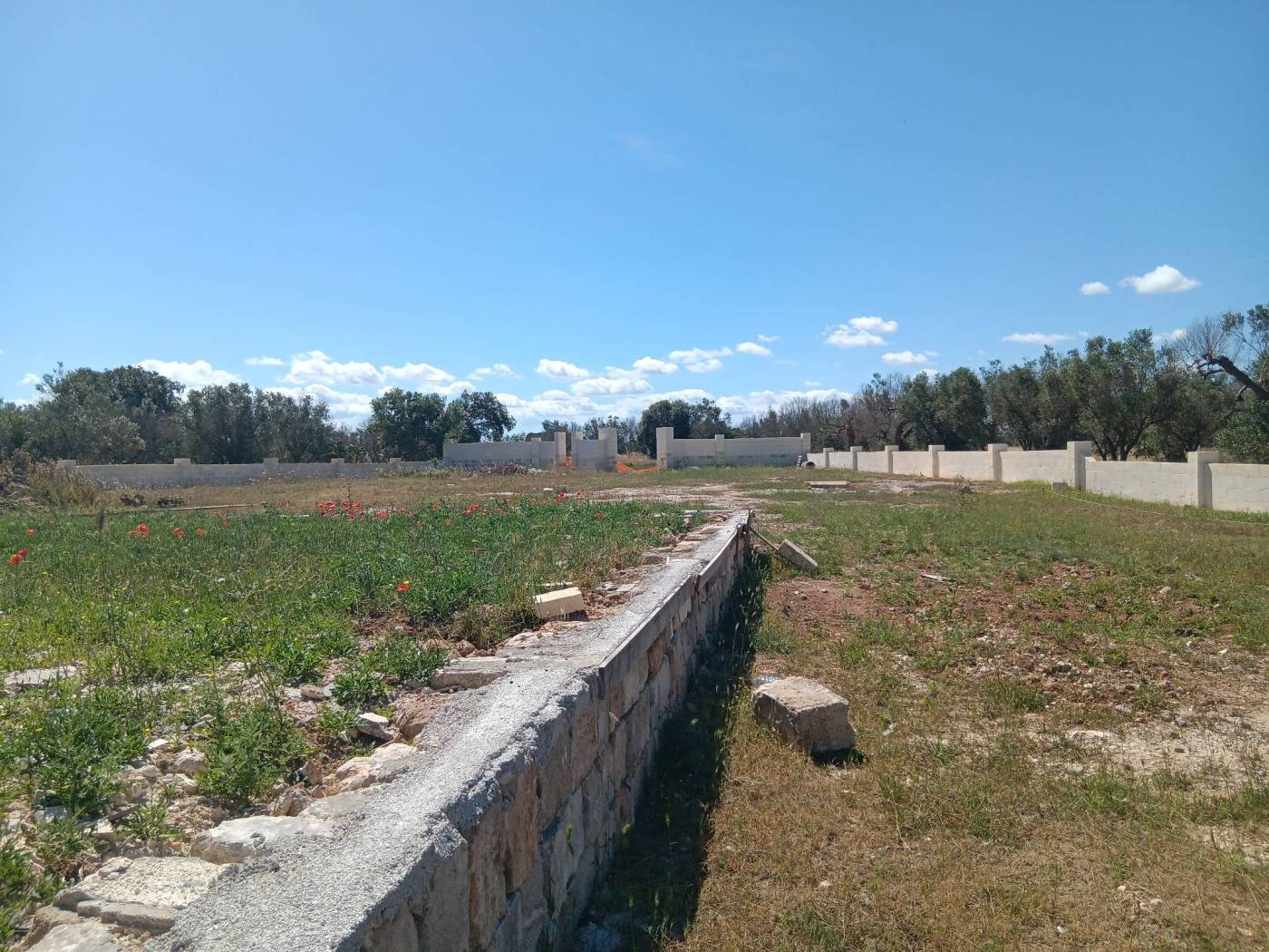 Terreno