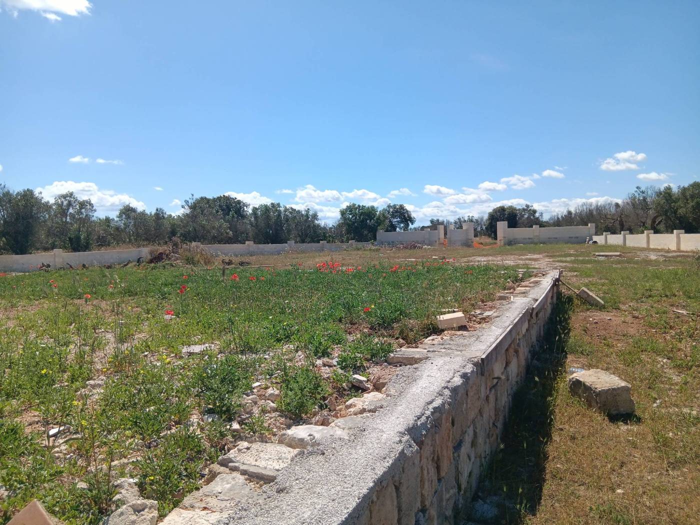 Terreno
