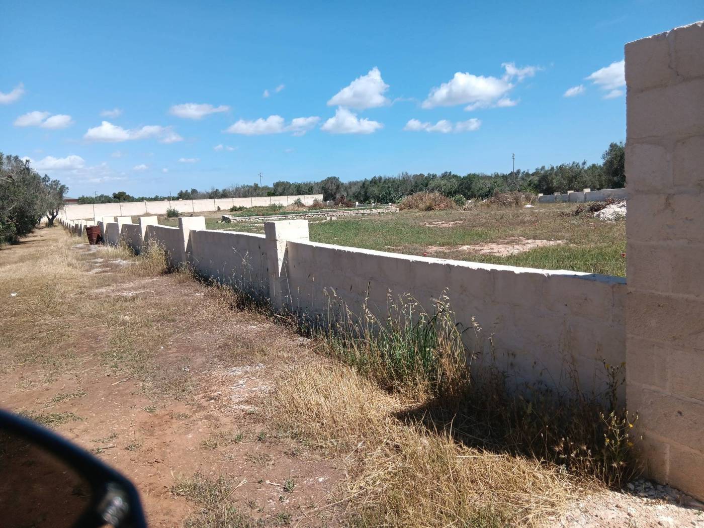 Terreno