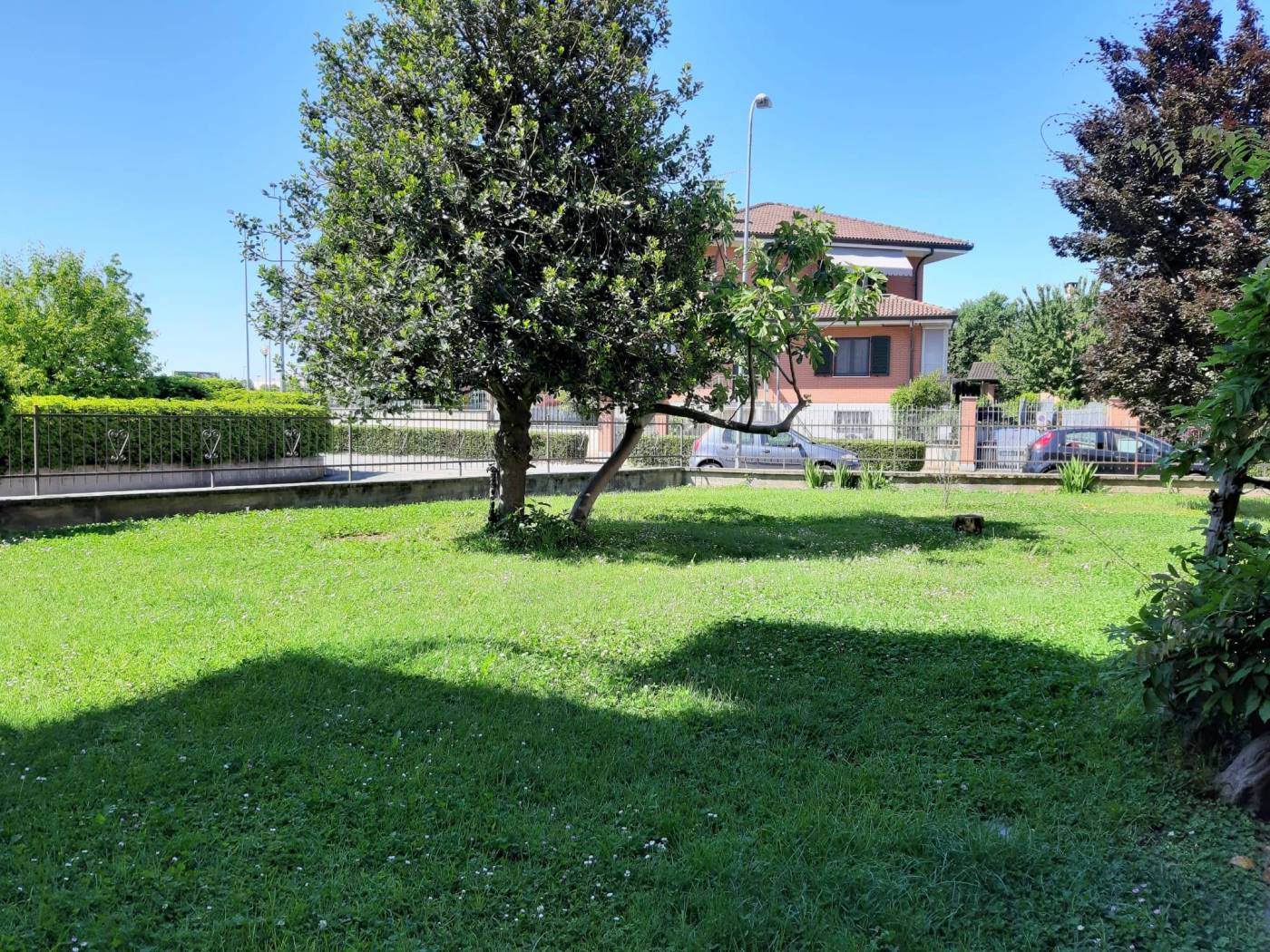 Giardino
