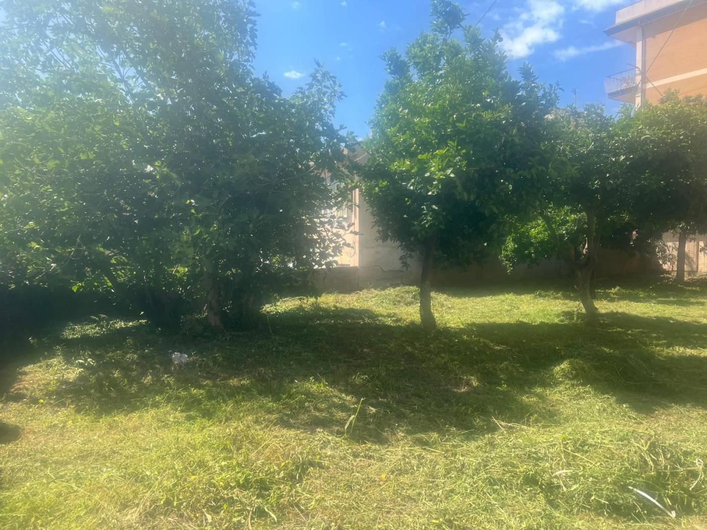 Giardino