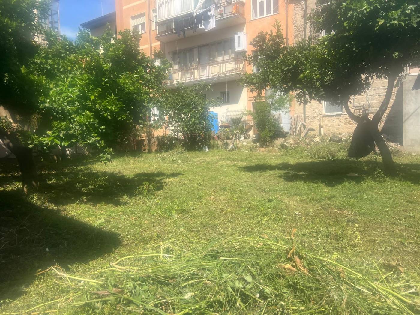 Giardino