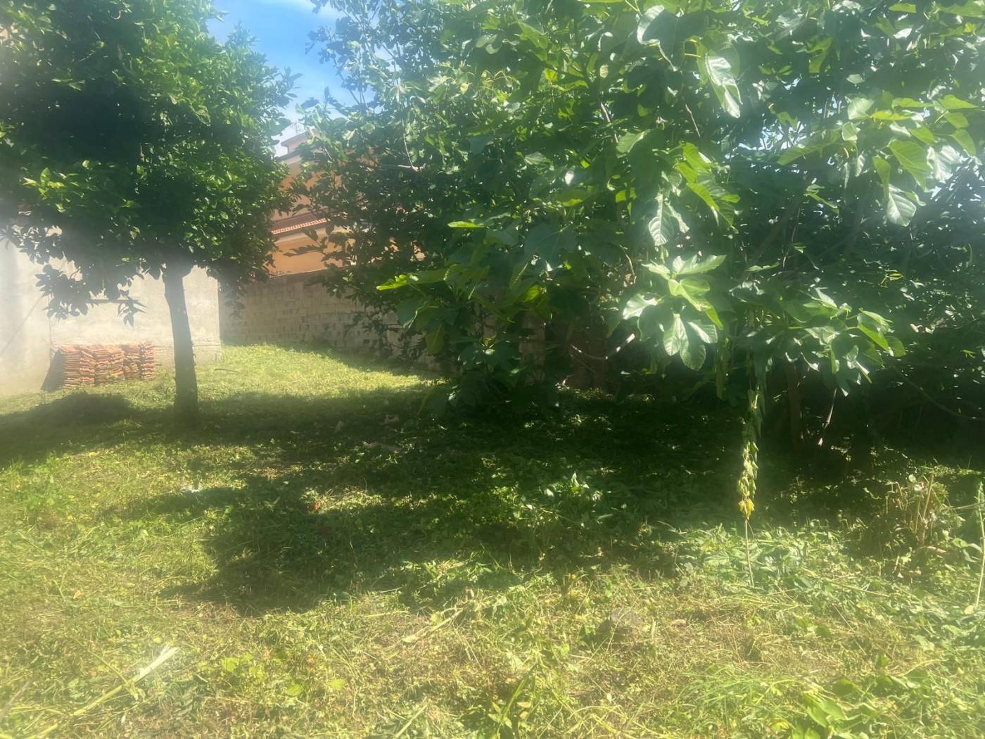 Giardino