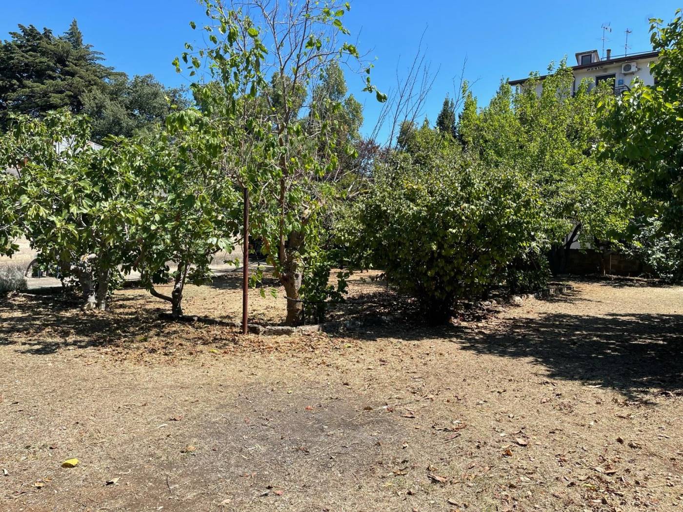 Terreno