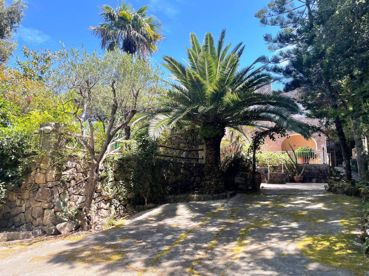 Giardino