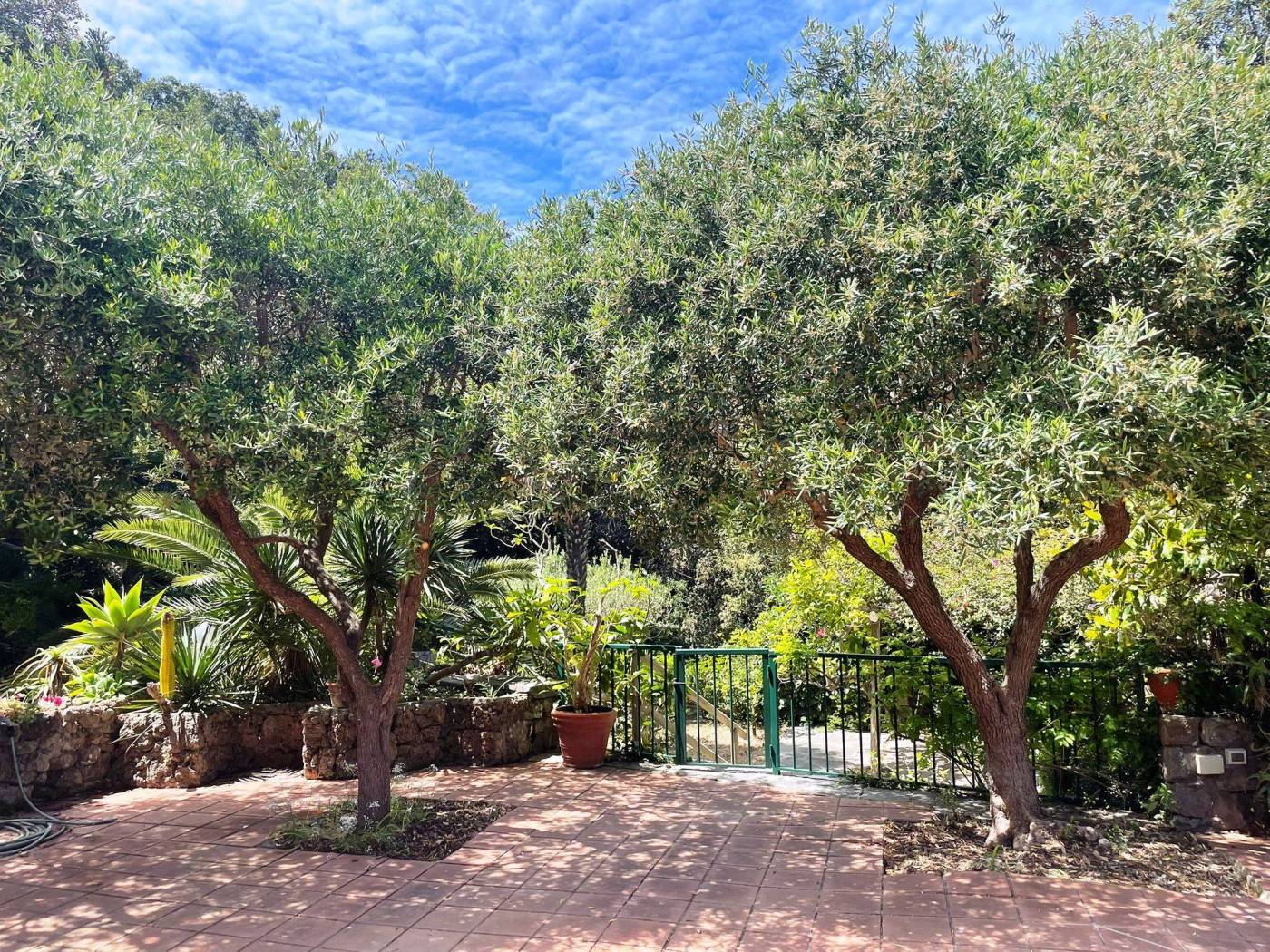 Giardino