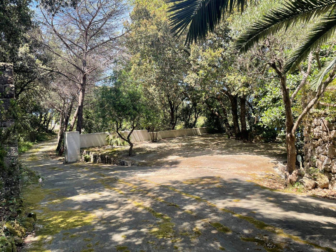 Giardino